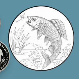 Европейский хариус.