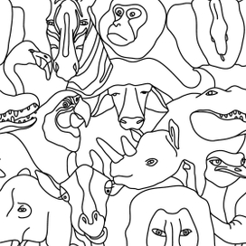 Паттерн животные