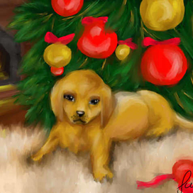 Открыточка