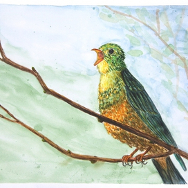 Птичка певчая