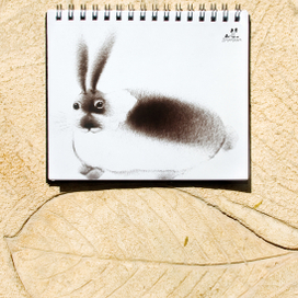 Странный зайка