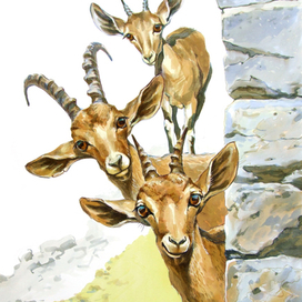 Кто к нам пришел?