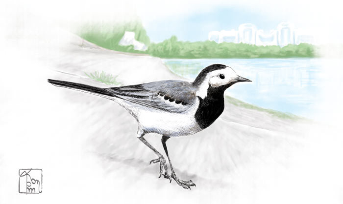 Глава семейства