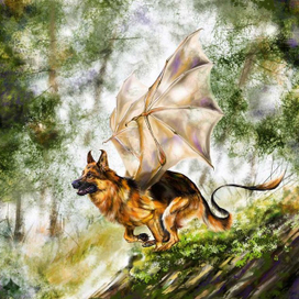 Рыжий дракон