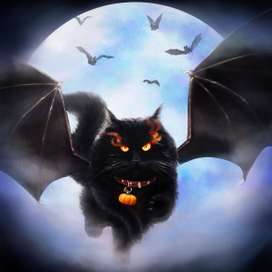 Кот-Вестник