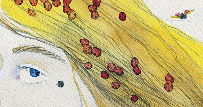 "Божьи заколочки"