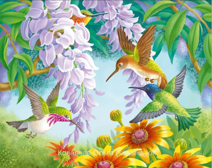 Колибри и глицинии