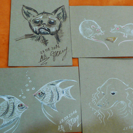 Мои питомцы