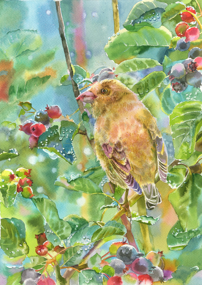 После дождя