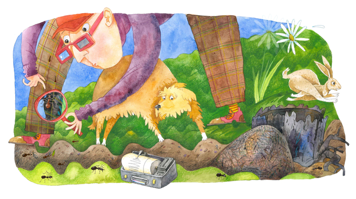 Землетрясение