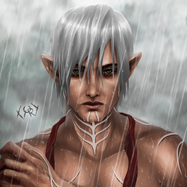 Dragon Age 2 - Fenris