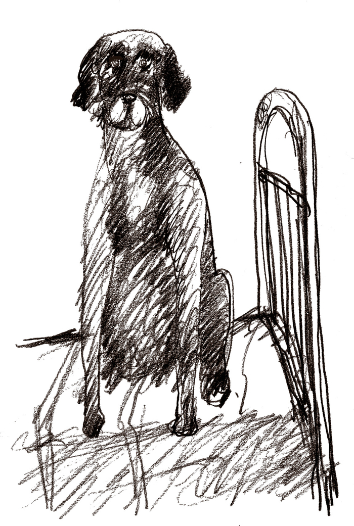 книга о дратхаарах