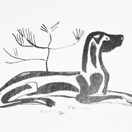 книга о собаках