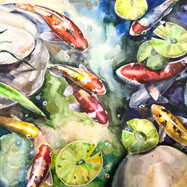 зеркальные карпы 