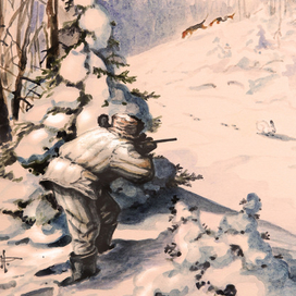 Первый беляк...