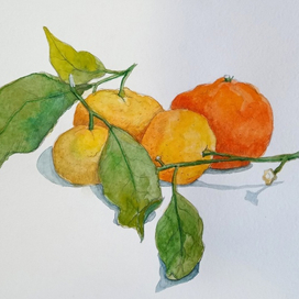 Скетч "Мандарины"