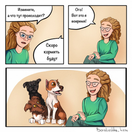 кормление собак