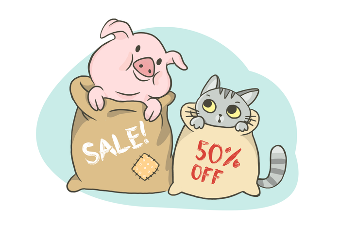 кот в мешке vs. pig in a sack