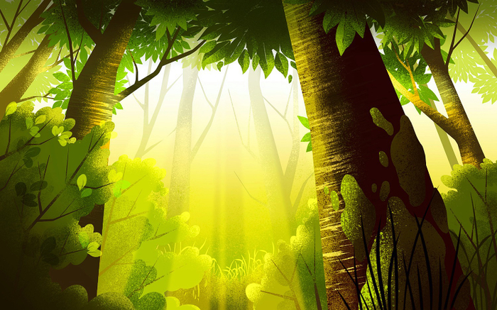 Ирландский лес