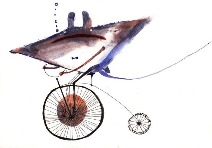 Это чё, скат на велике?