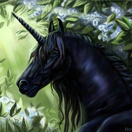 Чёрный единорог