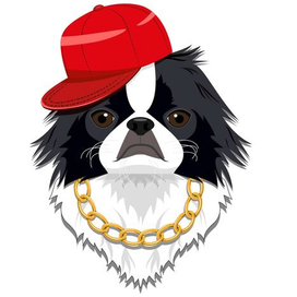 Японский Хин кепка и цепь