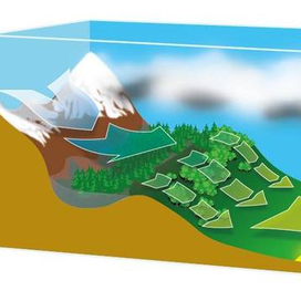 "Чувство ветра"