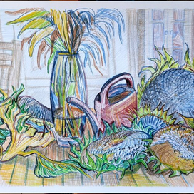 Подсолнухи созрели