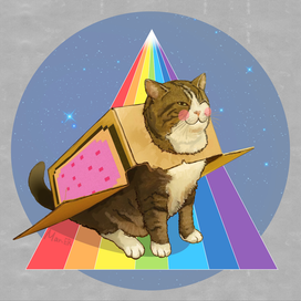 Nyan Maru