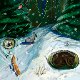 Ночь в лесу