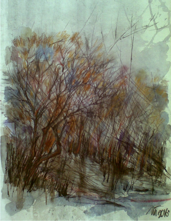 60 шагов до рыбалки