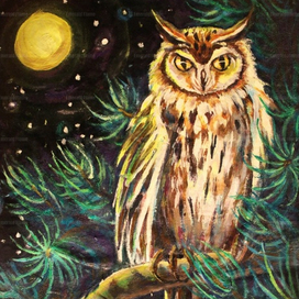 Августовская сова.