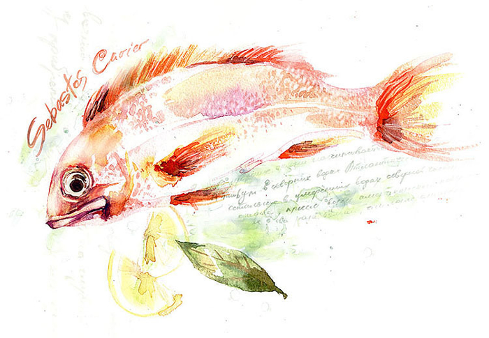 Морской окунь