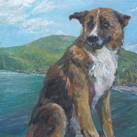 Собака и море