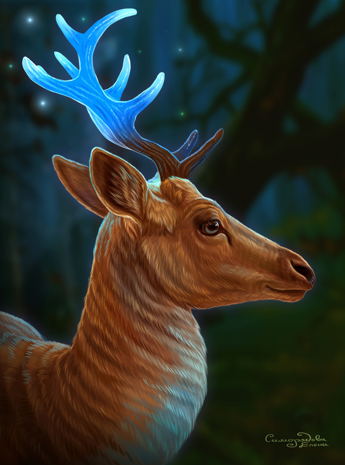 Зачарованный странник