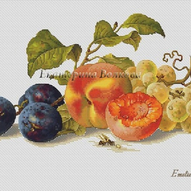 Натюрморт со сливами по картине Э. Прейе