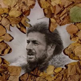 Мои рисунки на листьях