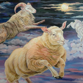  "Бессонница"