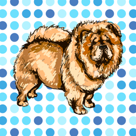 Иллюстрация собаки породы Чау-Чау