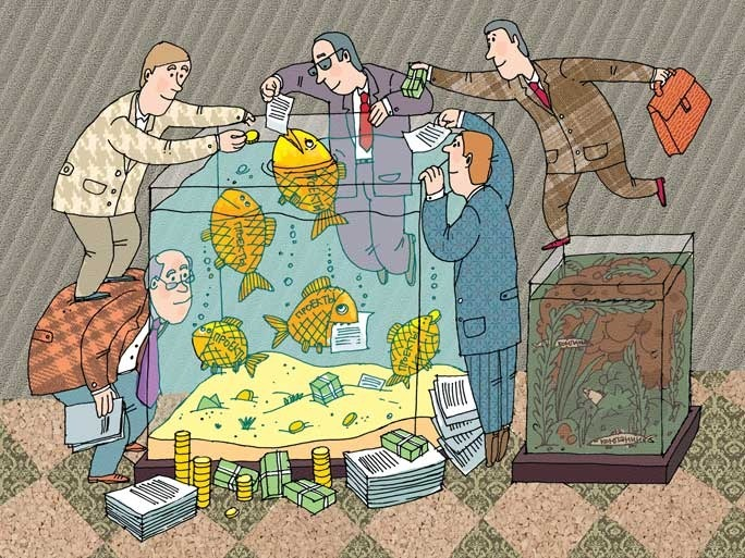 Проекты и компании