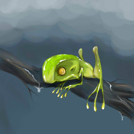 Древесная жабка