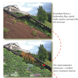 Визуализация проекта озеленения