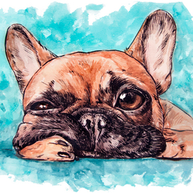 Бульдожий понеделник