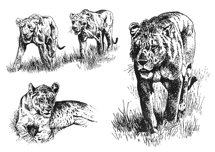 Паттерсон "Последние из свободных" 1