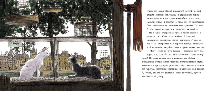 Нуаро и Бланш)