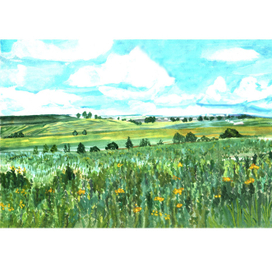 Приазовская степь