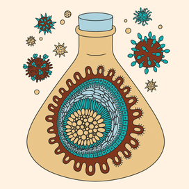 Иллюстрация для обложки книги "Элегантная защита" 