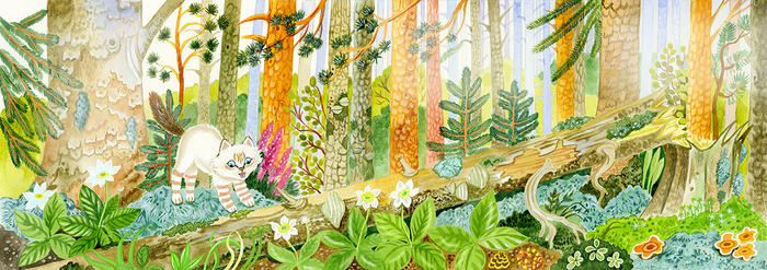 Иллюстрация к книге Birmi