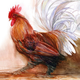 из серии 12 петухов