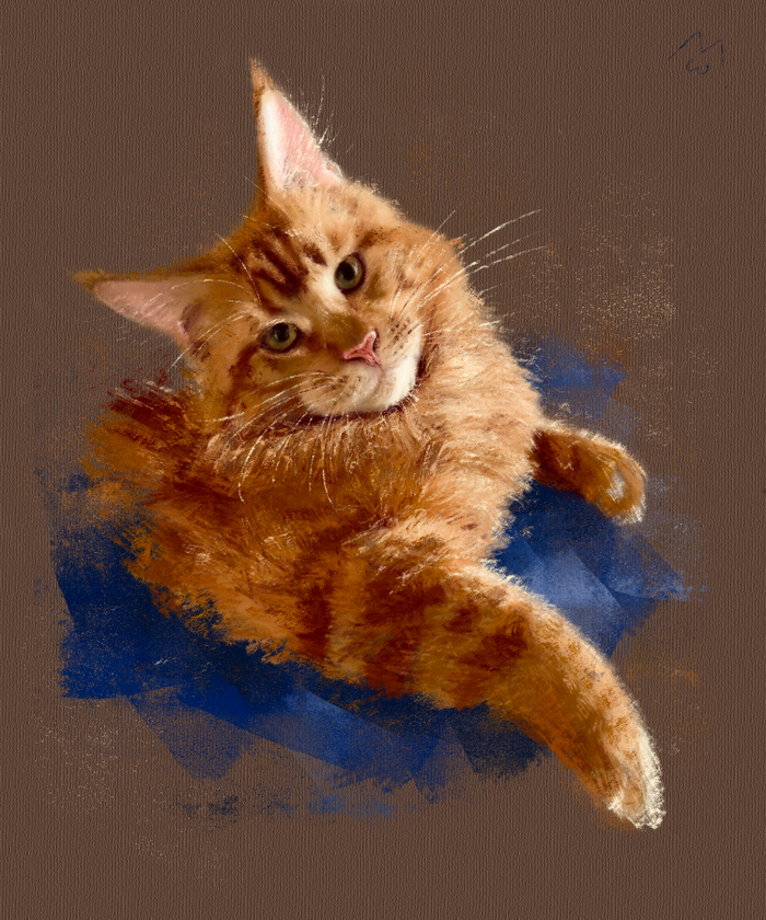 Мистер Пушистые Штаны